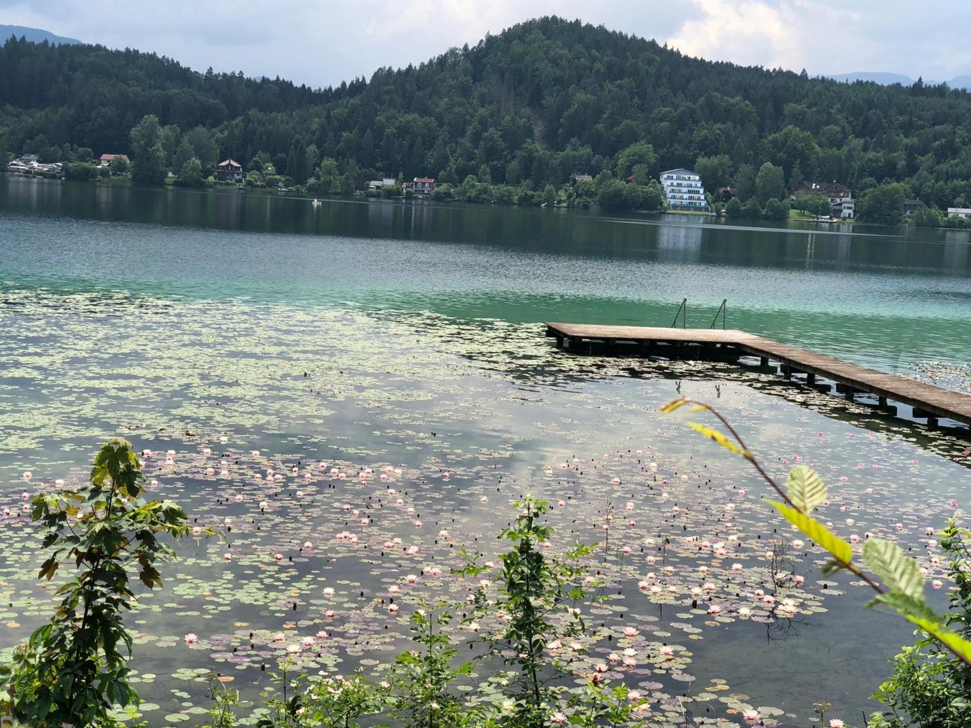 Hotel Alex Sankt Kanzian am Klopeiner See Eksteriør billede
